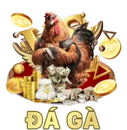 Chương trình giới thiệu